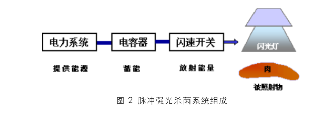 脉冲强光对枯草芽孢杆菌NG-2的灭活机理