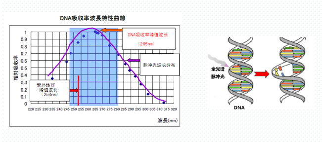 脉冲强光水处理——饮用水微生物净化处理技术
