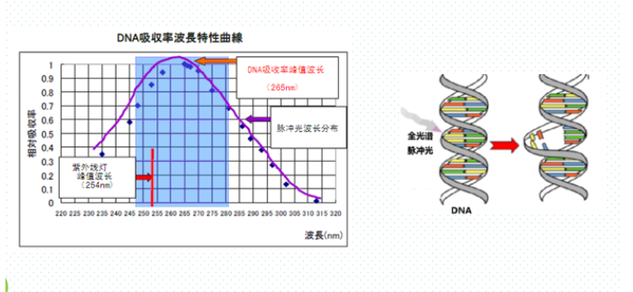 脉冲强光水处理——饮用水微生物净化处理技术