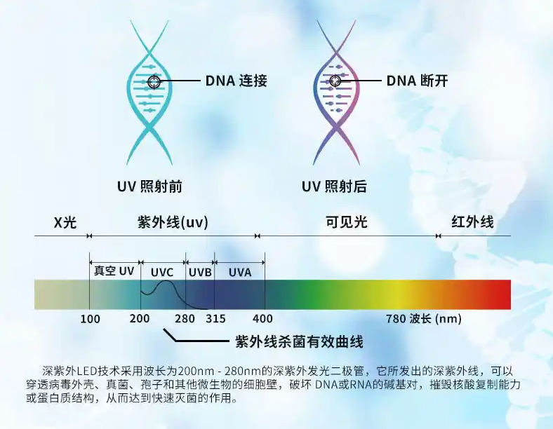 脉冲紫外线与传统汞灯