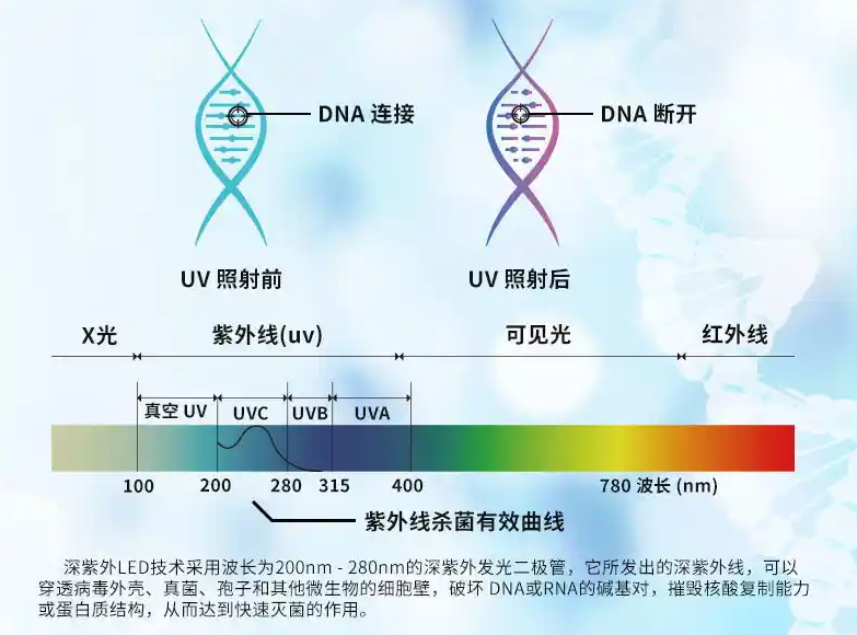 紫外光（UV）技术的核心应用领域